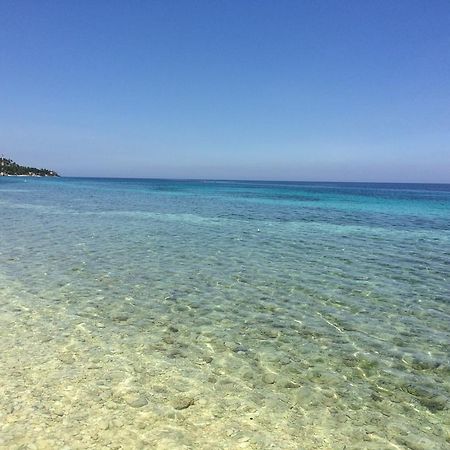 Oslob Garden Stay Beach Resort Экстерьер фото